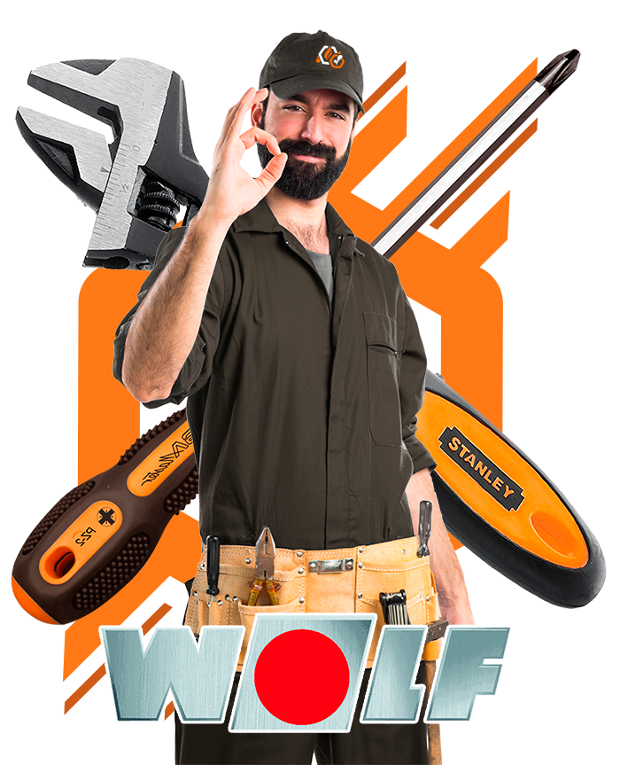 servicio técnico calderas Wolf en Toledo